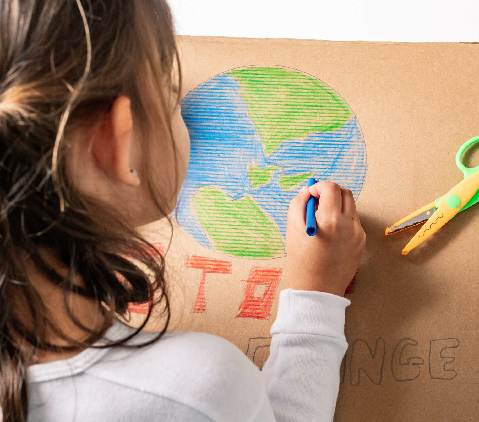 Climate change and sustainability education in England